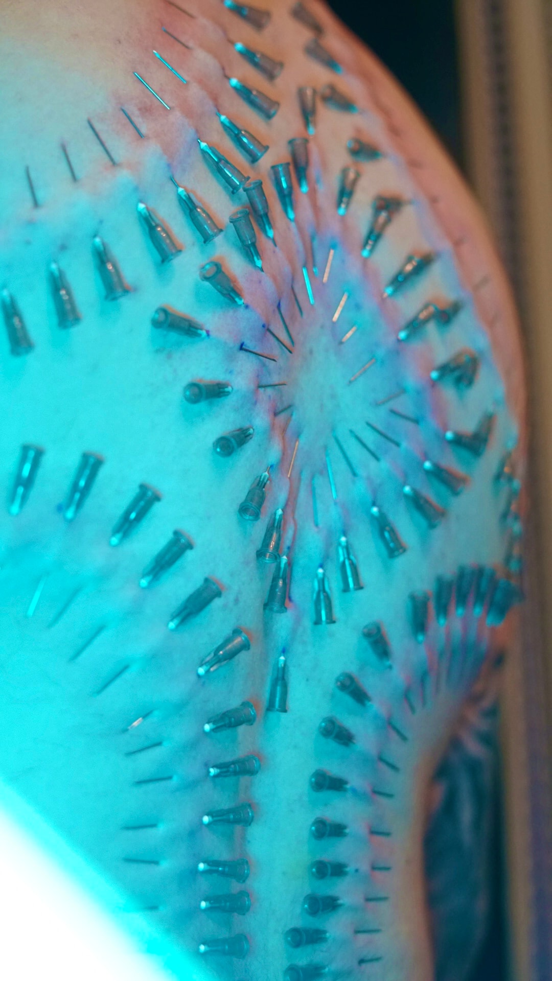 Emi - zdjęcie pracy nr. 8