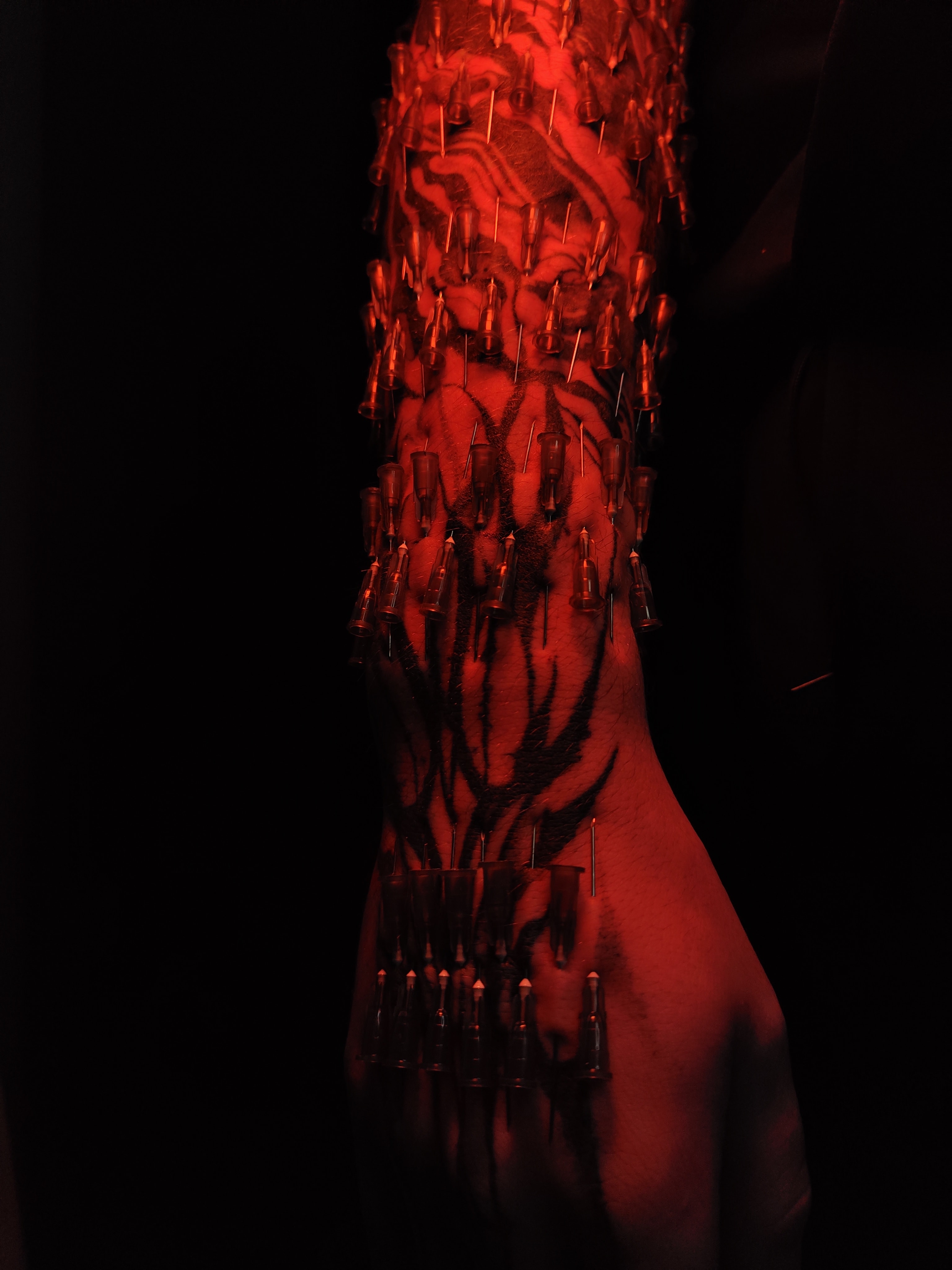 Emi - zdjęcie pracy nr. 14