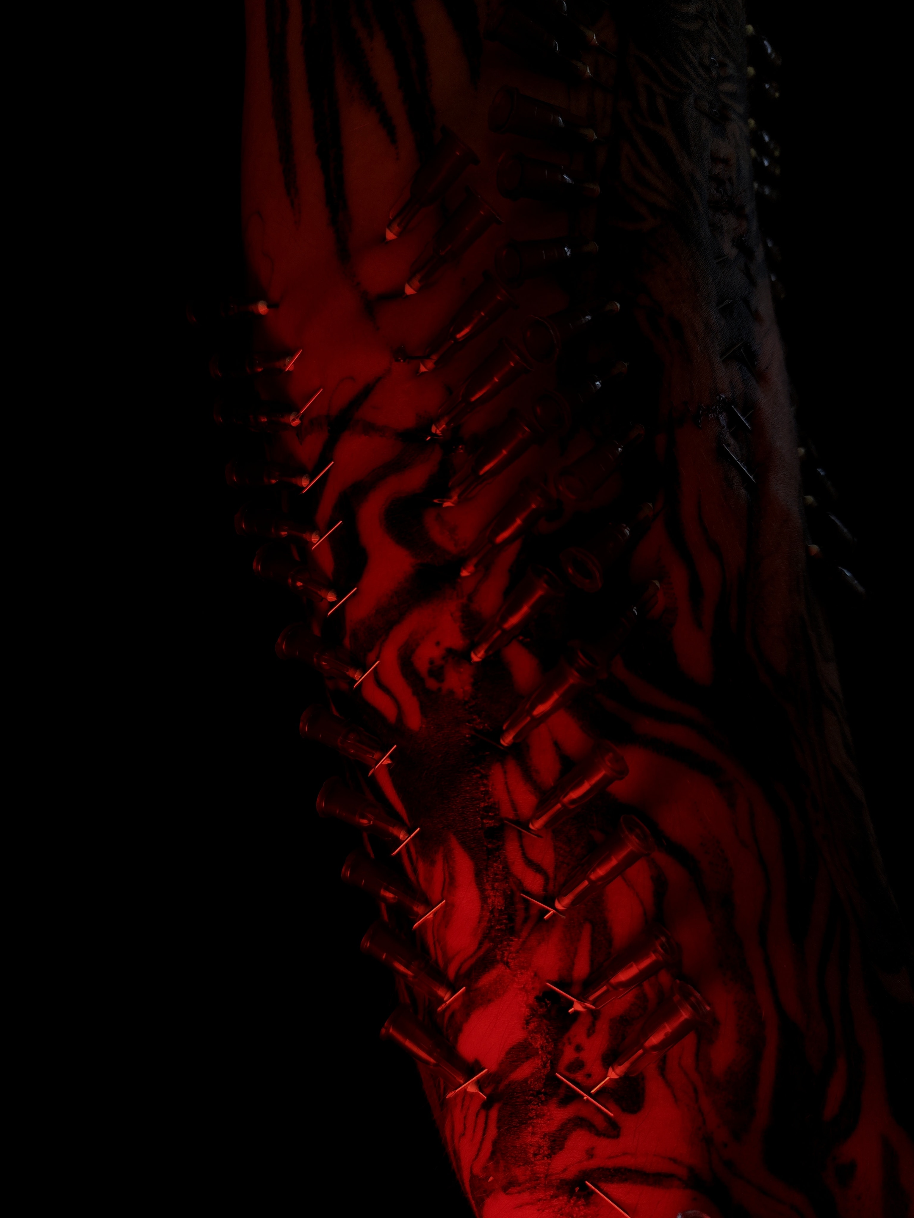 Emi - zdjęcie pracy nr. 15