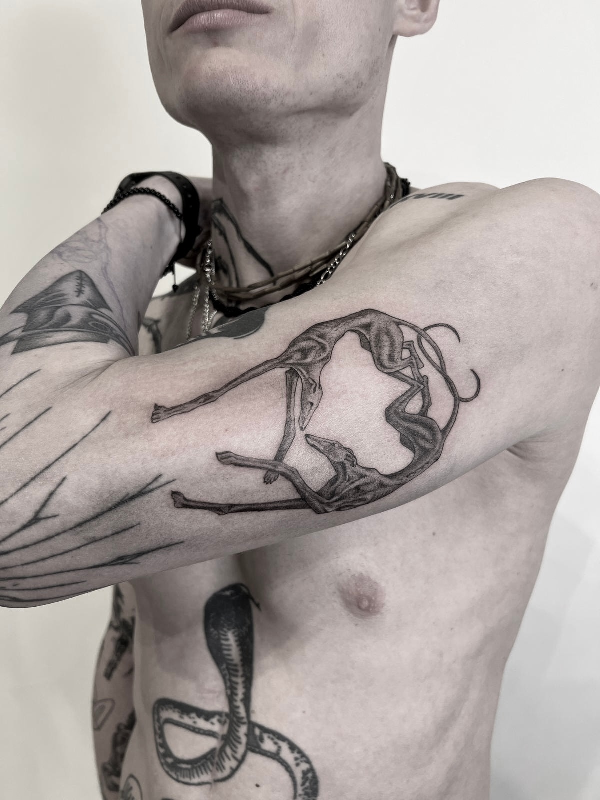 Ewelina - zdjęcie pracy nr. 11