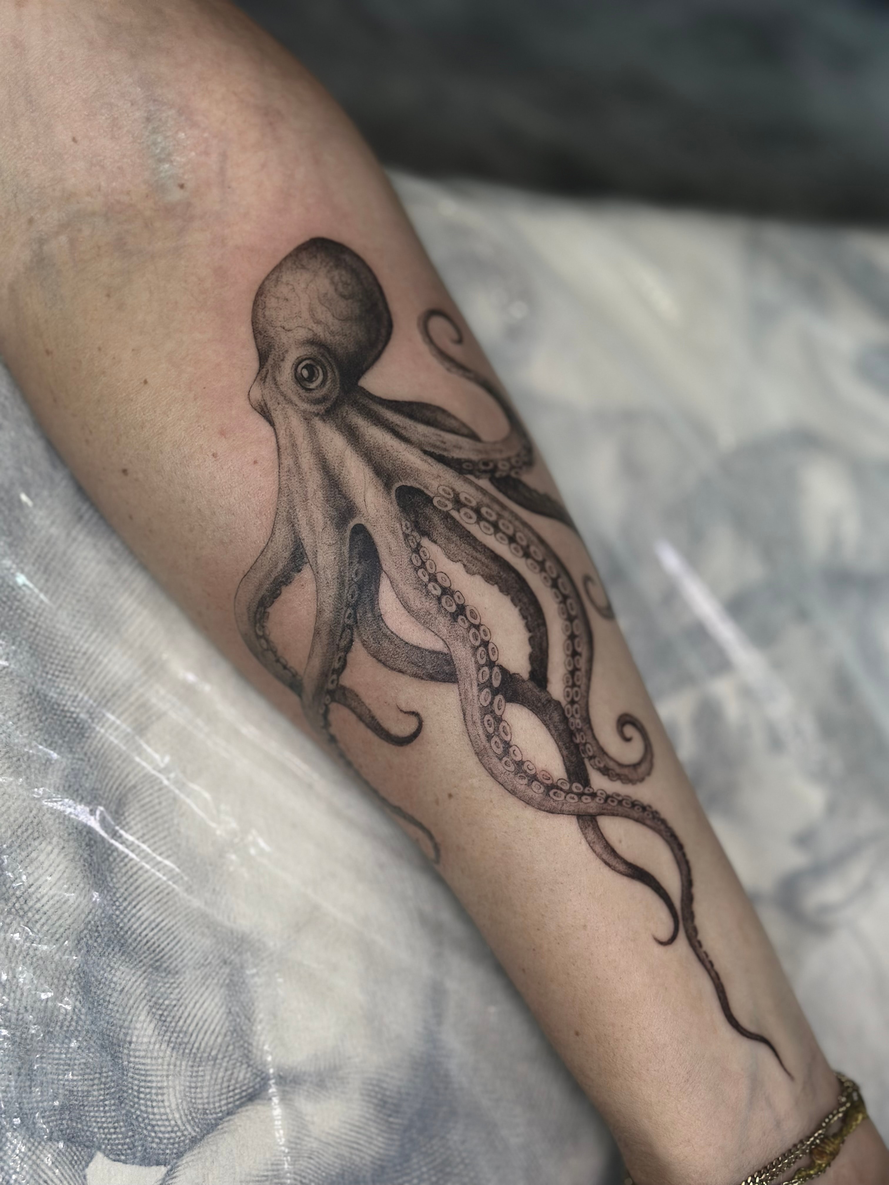 Kari - zdjęcie pracy nr. 7