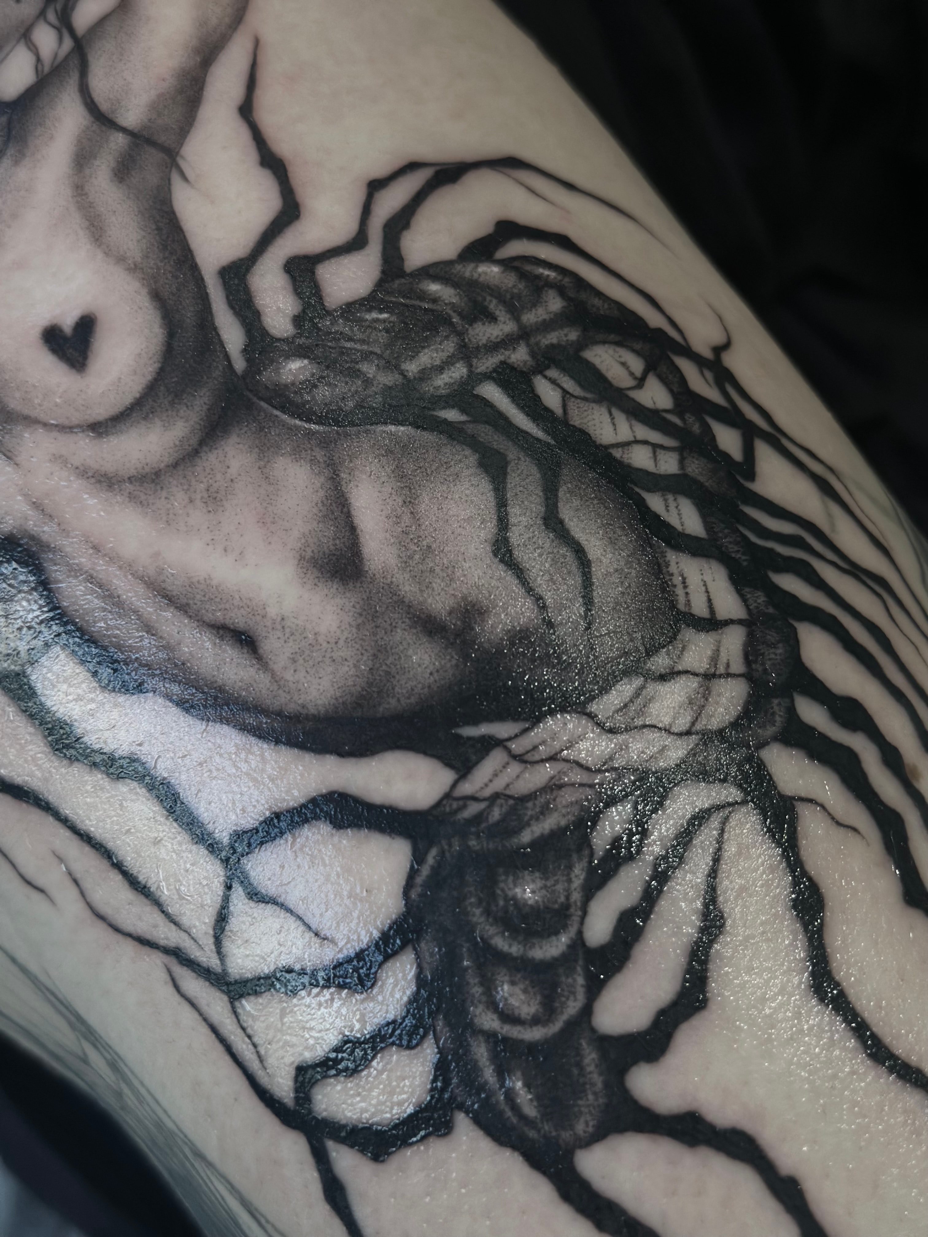 Kari - zdjęcie pracy nr. 10