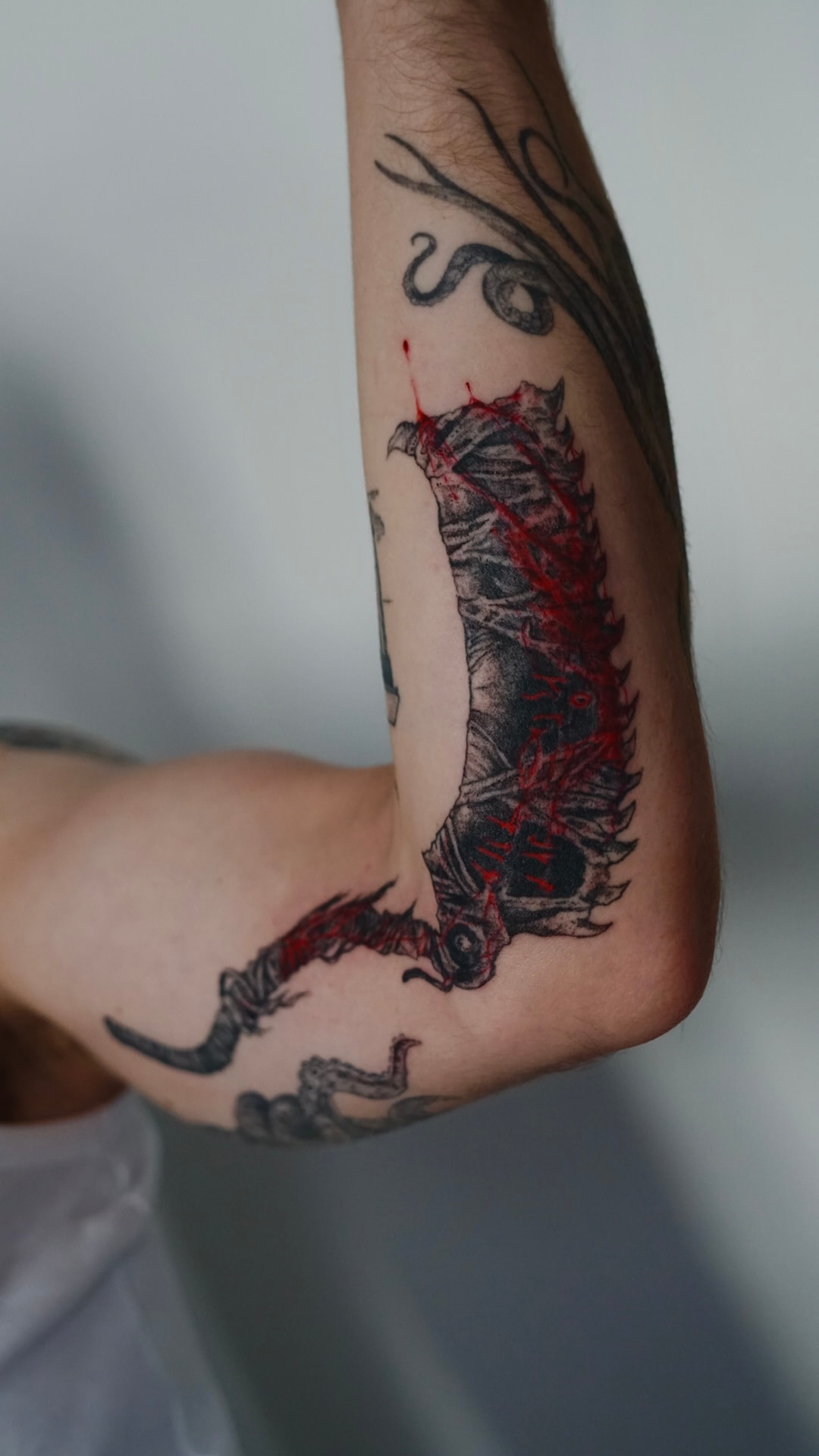 Kari - zdjęcie pracy nr. 25