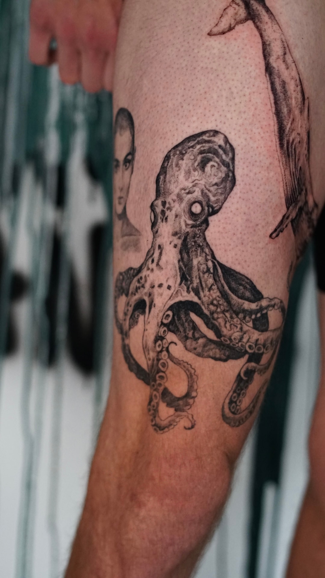 Kari - zdjęcie pracy nr. 26