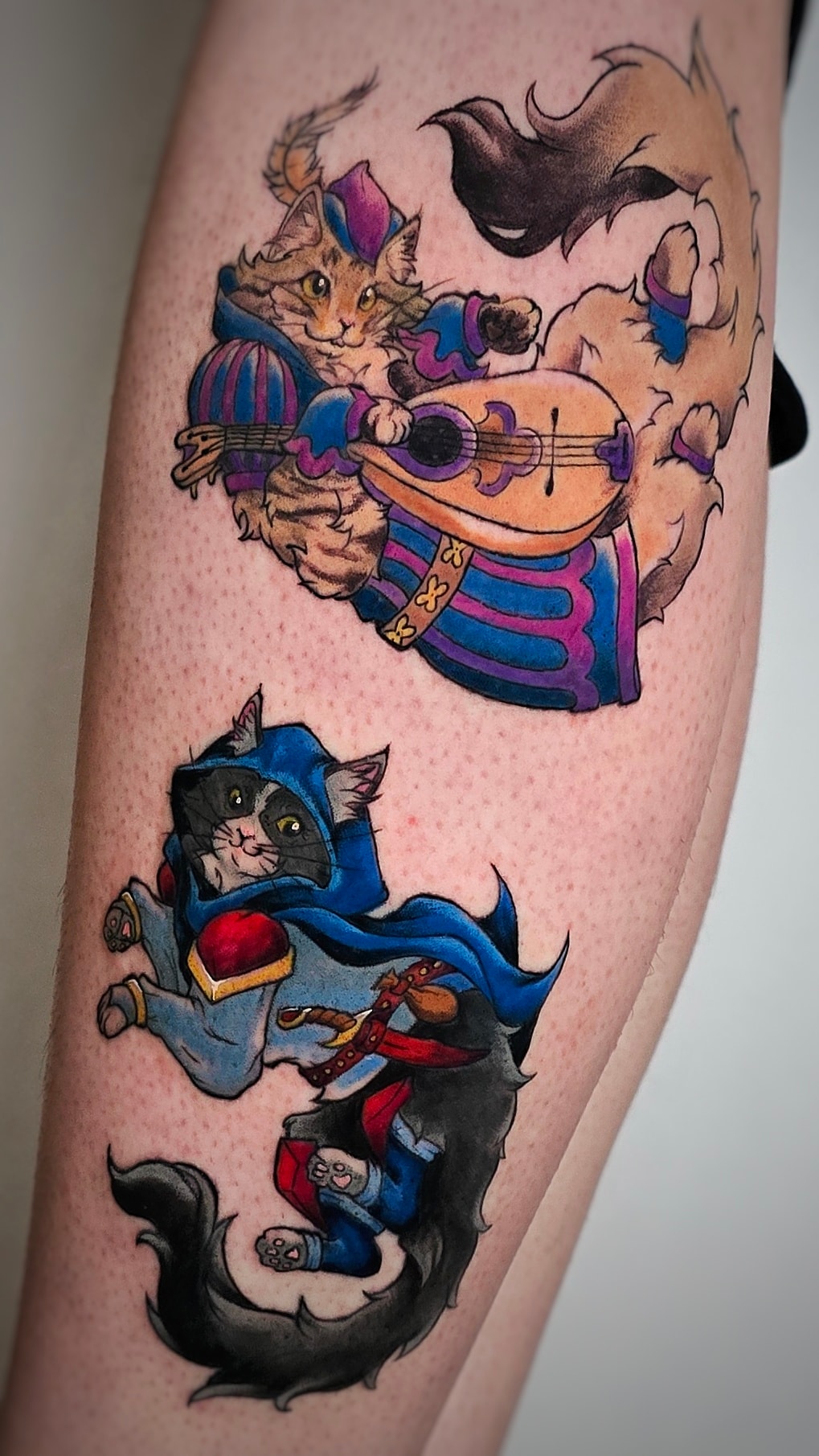 Kinia - zdjęcie pracy nr. 19