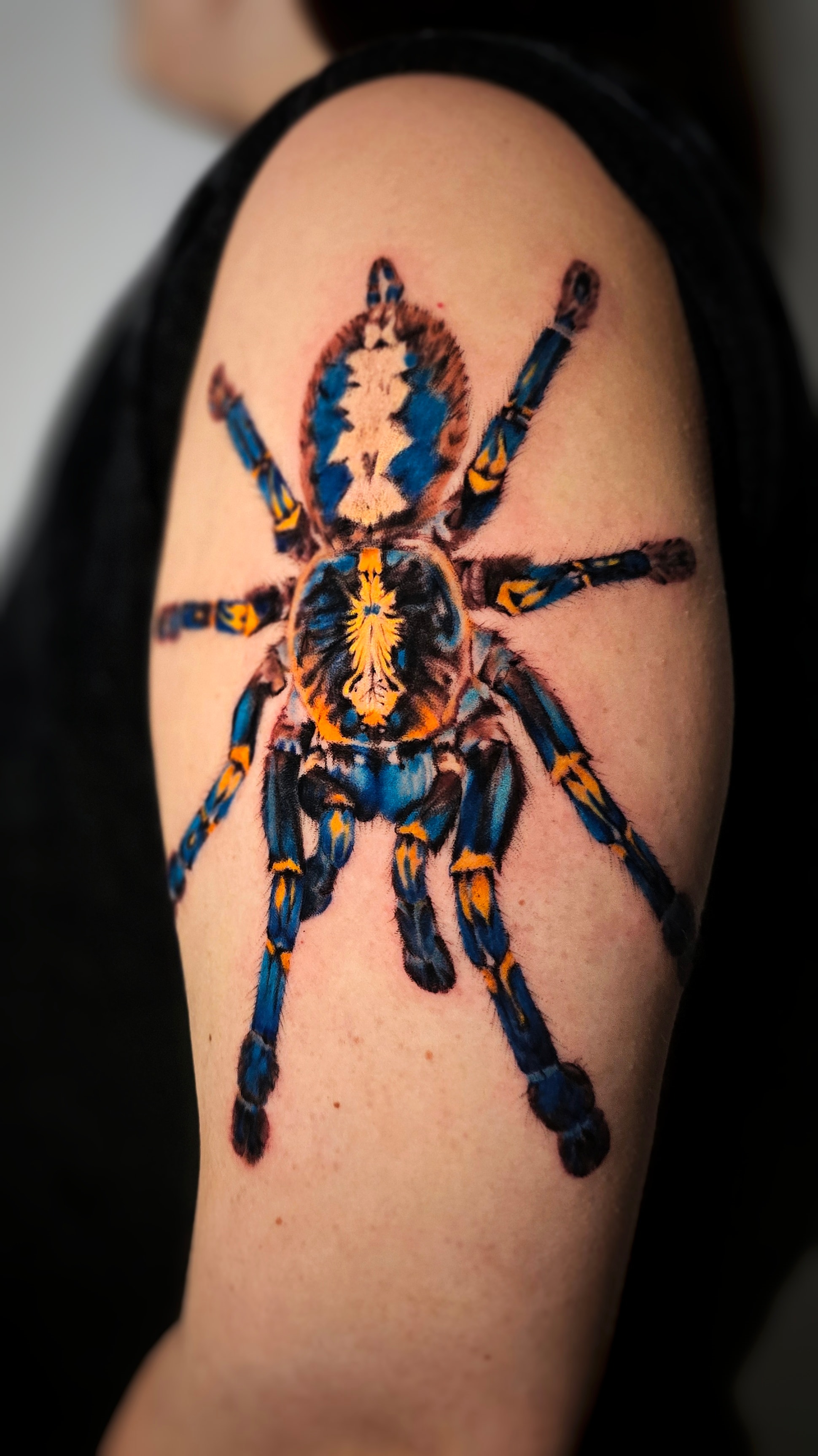 Kinia - zdjęcie pracy nr. 32