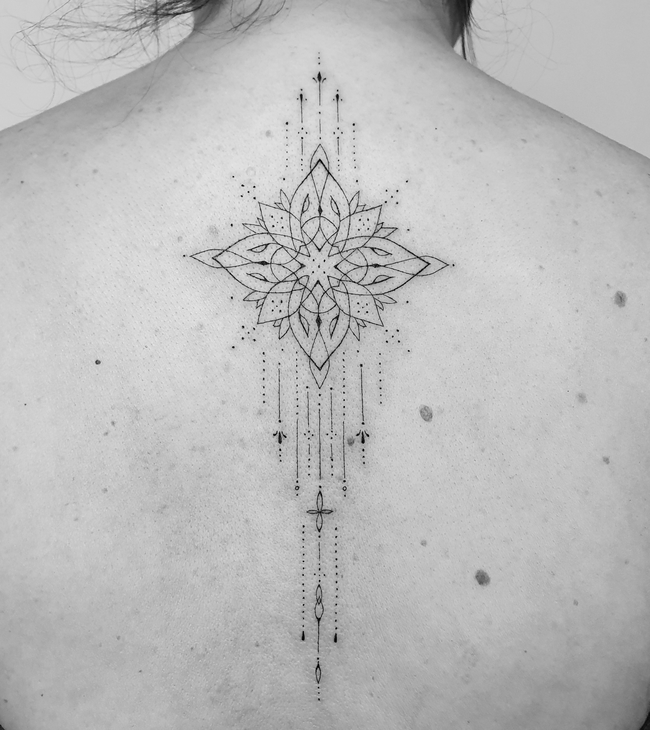 Klaudia - zdjęcie pracy nr. 2