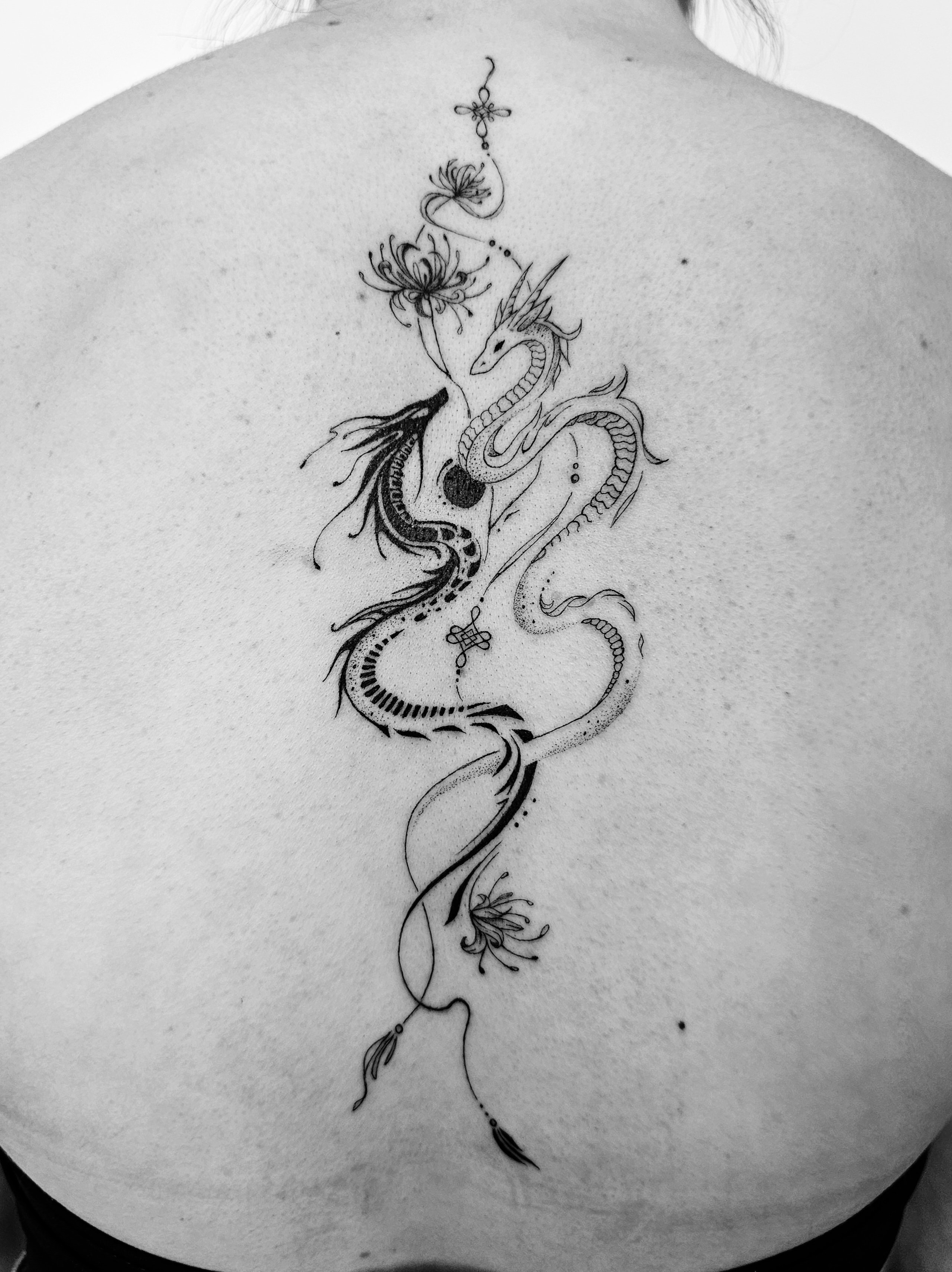 Klaudia - zdjęcie pracy nr. 17