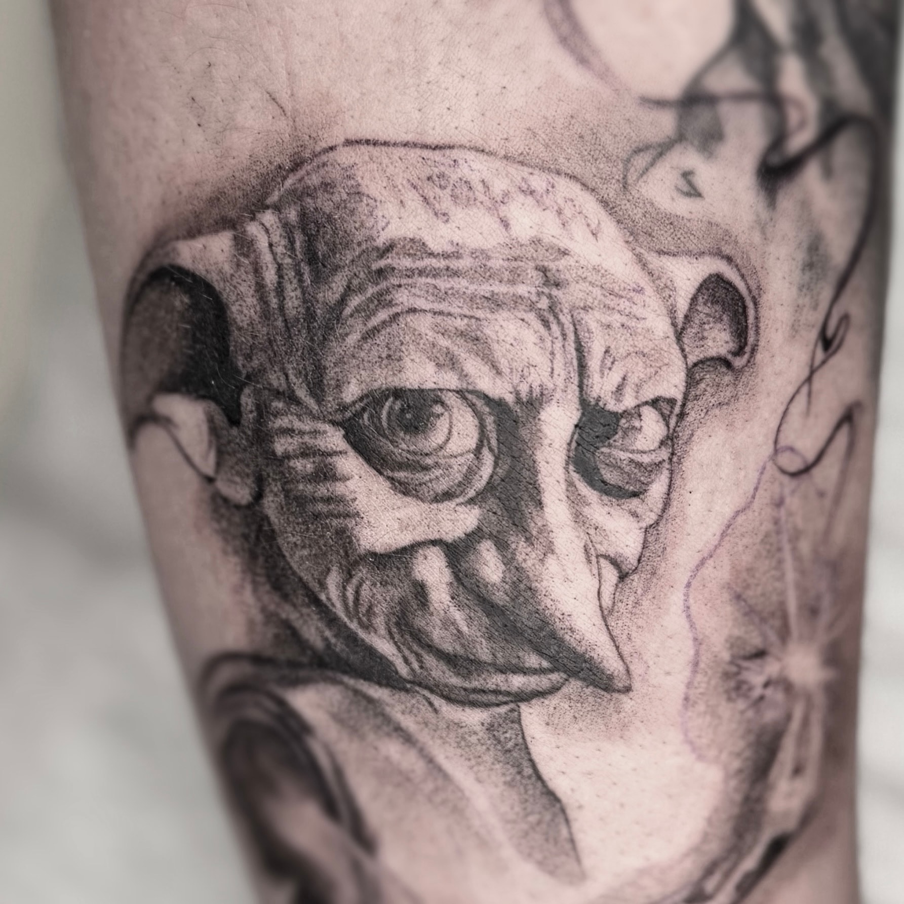 Mirella - zdjęcie pracy nr. 16