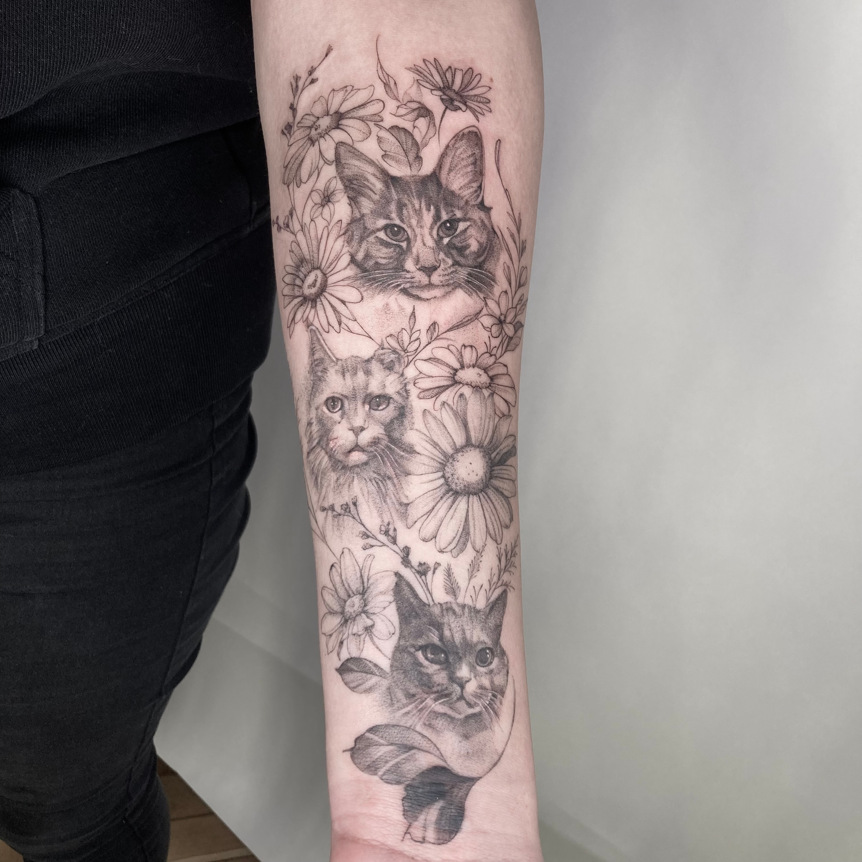 Mirella - zdjęcie pracy nr. 22